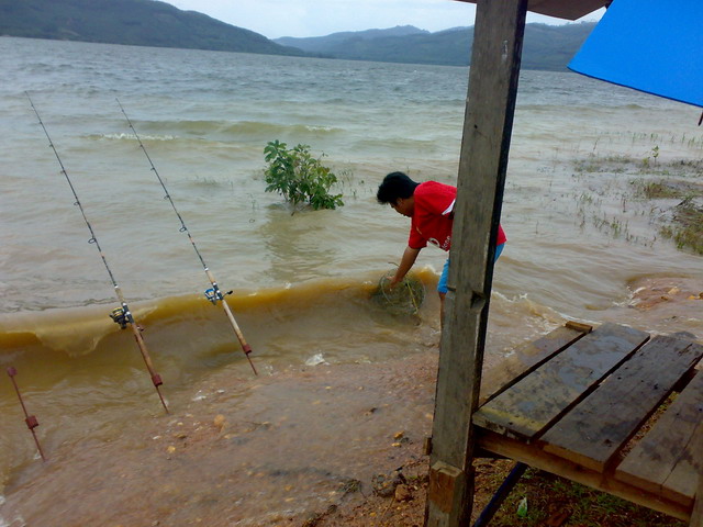 นิลที่อ่างเก็บน้ำคลองกะทูน อ.พิปูน จ.นครศรี