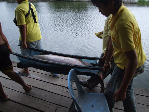 สดๆร้อนๆที่เงานน้ำ