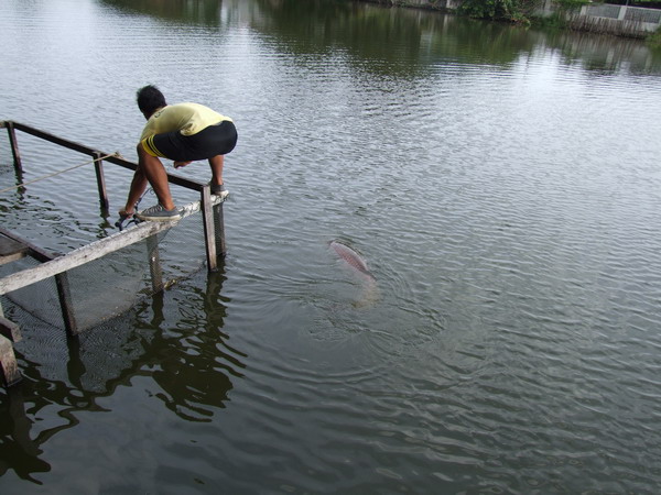 สดๆร้อนๆที่เงานน้ำ