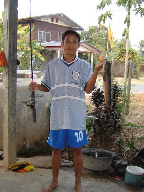 ดื้อ