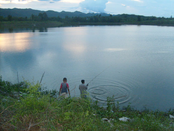 ปลารวมยี่สก อ่างด่านทับตะโก ราชบุรี