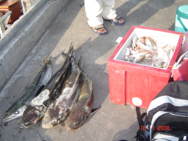 ขอลองมั่ง...(เมื่อครั้งก่อนโน้นที่ช่องแสมสาร)