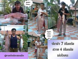 บ่อทรายกำนันแกะ(บางบาล)13-09-08