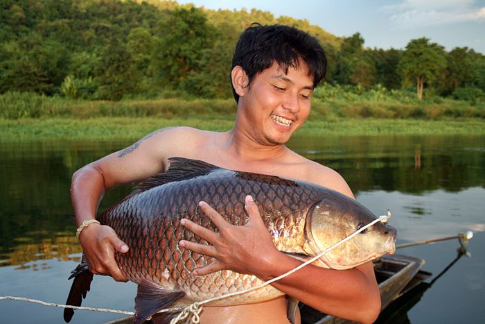 เทศกาลล่า...ยี่สก...เขื่อนวชิราลงกรณ์