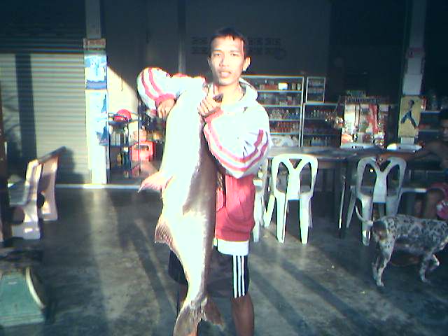 บิ๊กหวายเพชรบุรีโดยทีมงานอ่างแตก