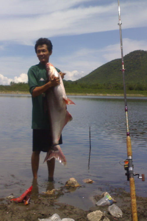 บิ๊กหวายเพชรบุรีโดยทีมงานอ่างแตก