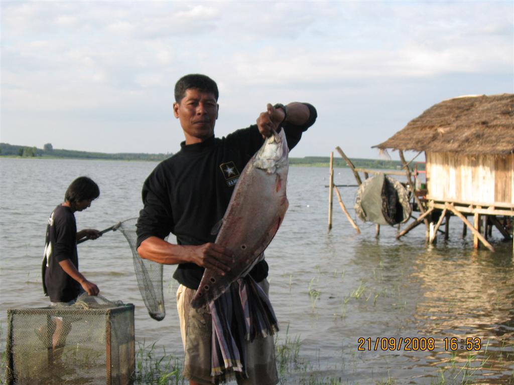 น้ำท่วมซุ้ม น้องกุ้งมาหา+ดอกกราย ที่นี้.ประเทศไทย 