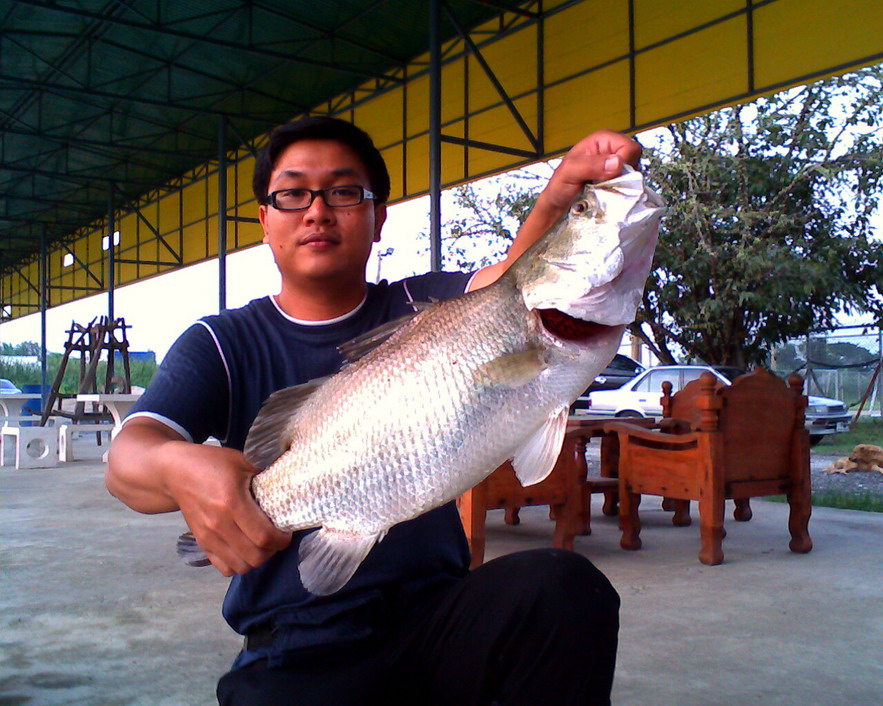 กระพงธรรมชาติภาค3