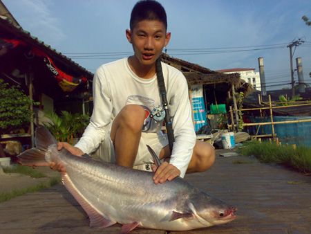สวายครับบบบบบบ0^^0
