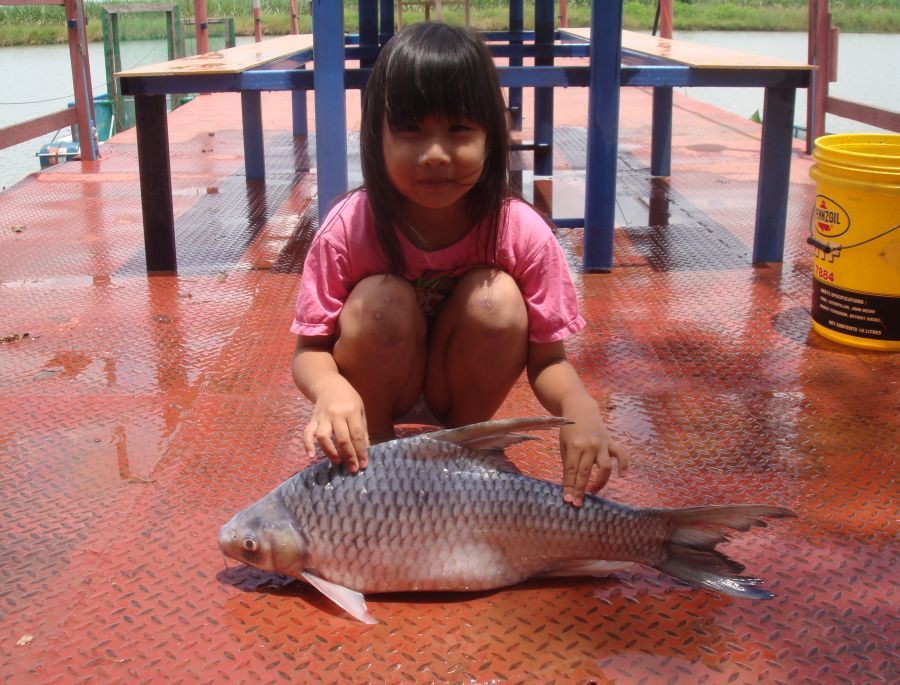 ปลาตะกาก 