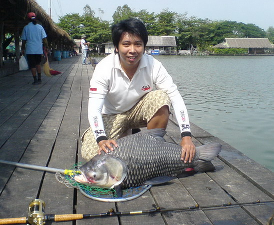 ปลาเกล็ดตัวเล็ก ๆ ที่บึงสำราญ