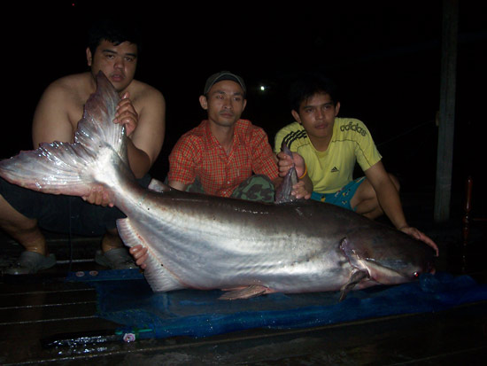เงาน้ำยามดึก 3
