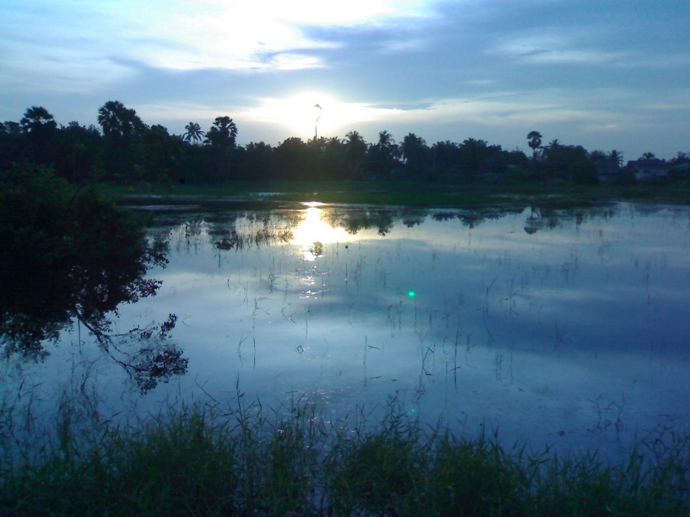 รองดู