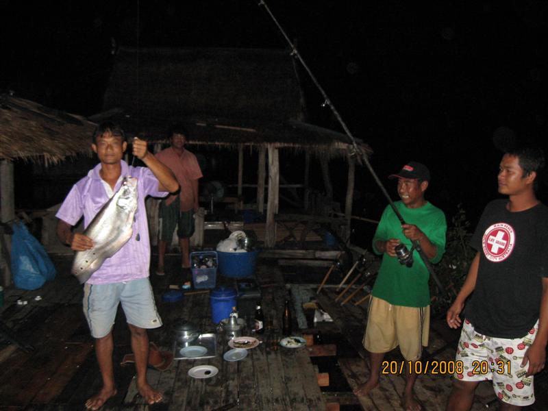 ปลายฝน ต้นหนาว 2008 (ที่นี้.ประเทศไทย+ ดอกกราย )