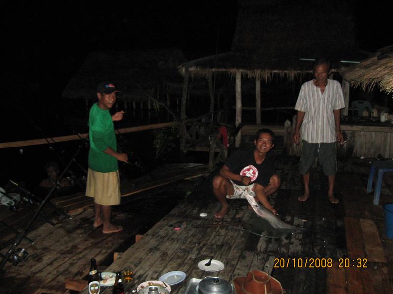 ปลายฝน ต้นหนาว 2008 (ที่นี้.ประเทศไทย+ ดอกกราย )