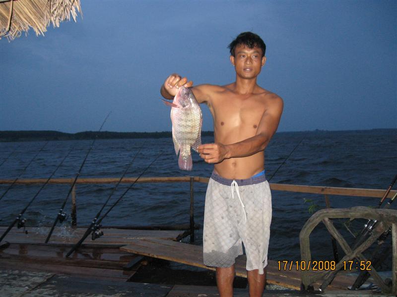 ปลายฝน ต้นหนาว 2008 (ที่นี้.ประเทศไทย+ ดอกกราย )
