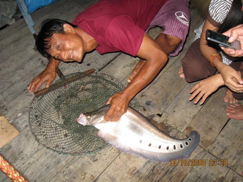 ปลายฝน ต้นหนาว 2008 (ที่นี้.ประเทศไทย+ ดอกกราย )