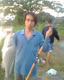 เวลาน้อยๆกับปลาม้าเจ้าพระยา