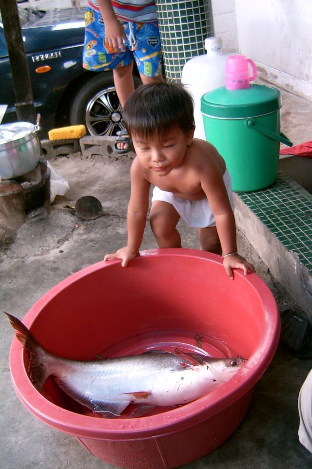 @  สำเร็จซะที กับหมายธรรมชาติ  @
