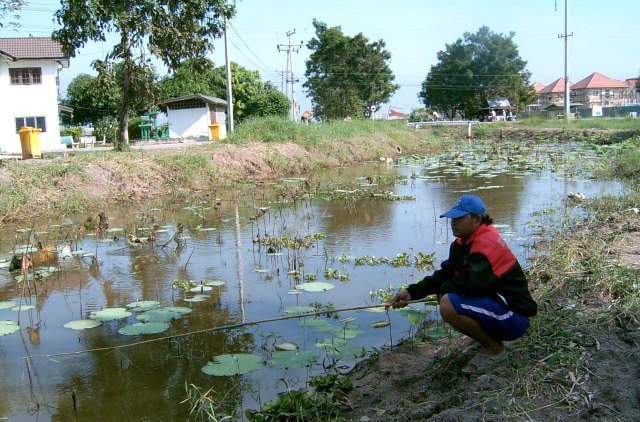 @  สำเร็จซะที กับหมายธรรมชาติ  @