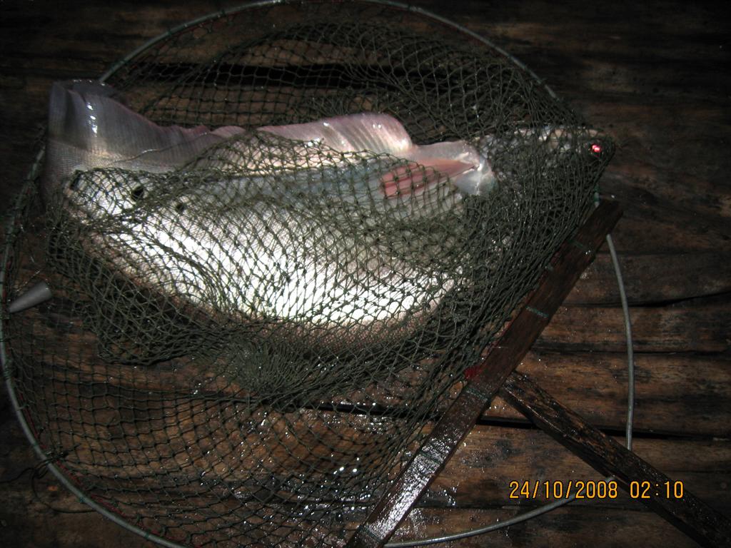 ปลายฝน ต้นหนาว 2008 ภาค 1 (อ่างเก็บน้ำ ดอกกราย )
