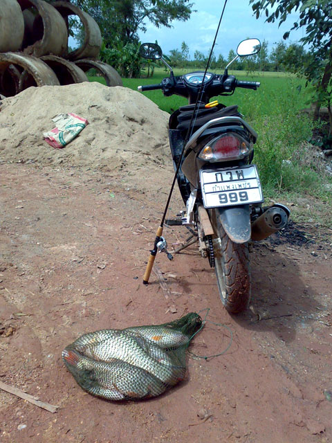 กระสูบคลอง...อีกแล้ว