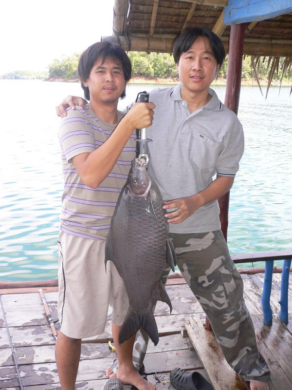 1-2  พฤศจิกายน 2551 เขื่อนศรีฯ  แพเก็บตะวัน
