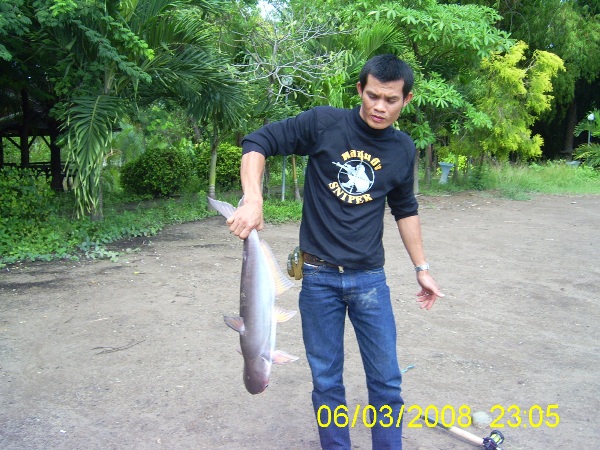 ของดีเมืองแปดริ้ว