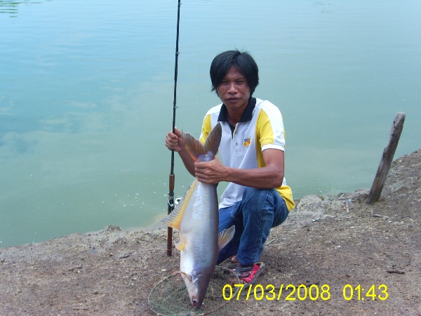 ของดีเมืองแปดริ้ว