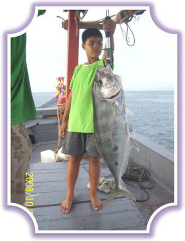แสมสารกับไต๋เรือง...เกือบกินแห้วซะแร้ว!