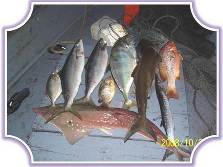 แสมสารกับไต๋เรือง...เกือบกินแห้วซะแร้ว!