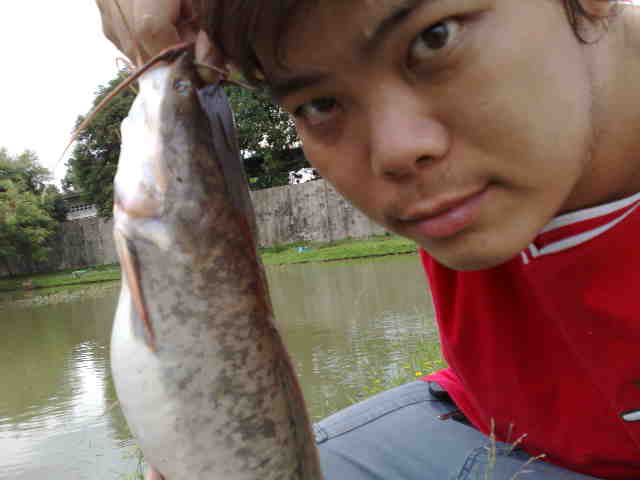 ดุก 3 โล