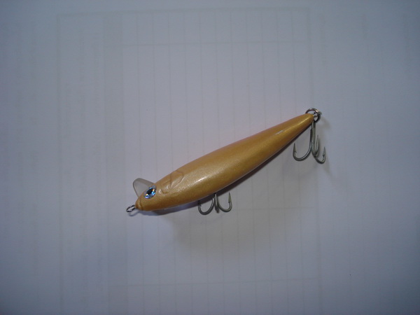 minnow จ้า.....