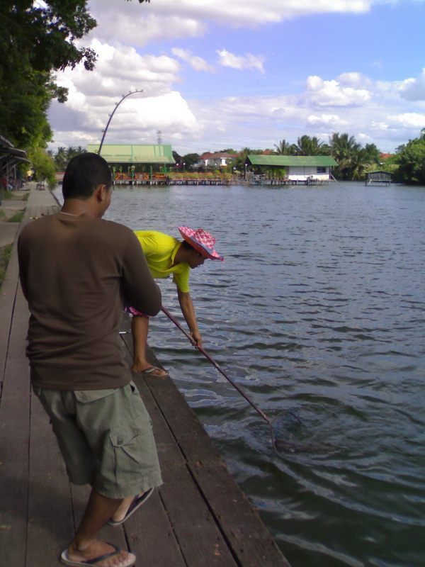 เงาน้ำยามหนาว