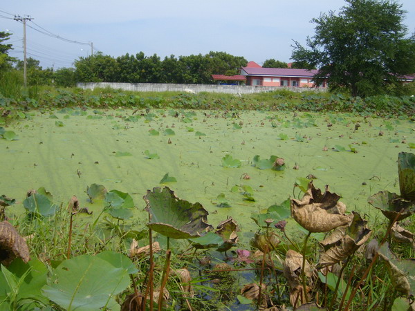 พาเพื่อนไปตีเบ็ดครั้งแรก(โดนเลย)