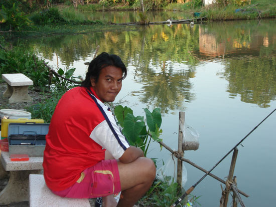 ปลานิลใหญ่ ณ บ่อ ก. กล้วย