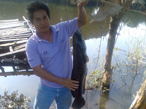 โดหลังบ้าน + laparaดุก