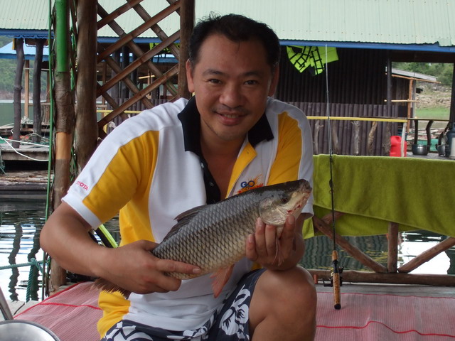 เขื่อนศรีฯ กาญจนบุรี  แพอยู่ดี เป็นแพตกปลา เล่นน้ำ