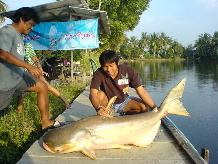 เงาน้ำ[หลังวันโรยปูนขาว]อัพเดทเพิ่มเติมล่าสุด