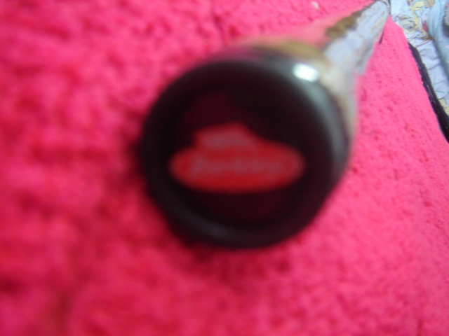 คัน Berkley Lightning Rod 10