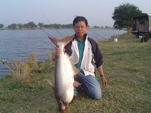 สวายหมายเบิกไพร....