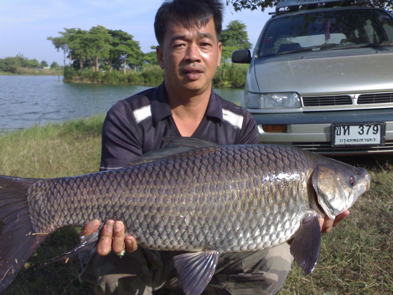 ถ้าพลาด นิ้วขาดแน่ ..ดู..ฟัน..ดิ...