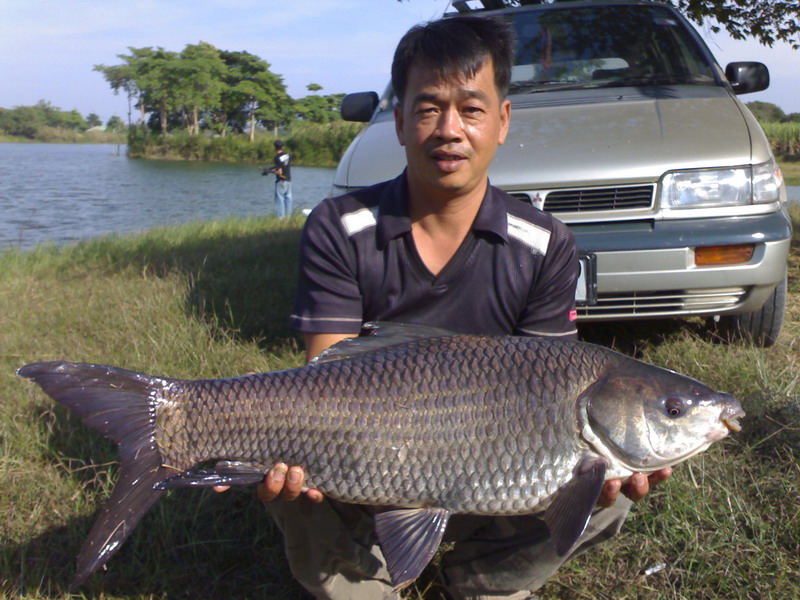 ถ้าพลาด นิ้วขาดแน่ ..ดู..ฟัน..ดิ...
