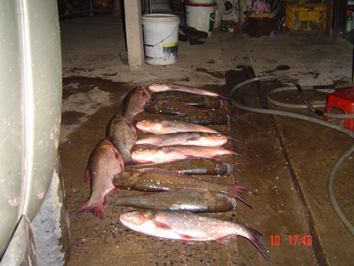 ตกปลาได้ทั้งปลาได้ทั้งมาวววว.....