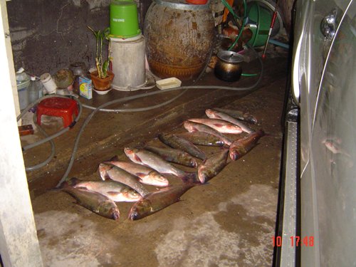 ตกปลาได้ทั้งปลาได้ทั้งมาวววว.....