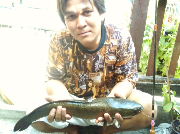 เด็กหัดใหม่ตีๆๆๆๆๆๆๆๆๆๆๆ