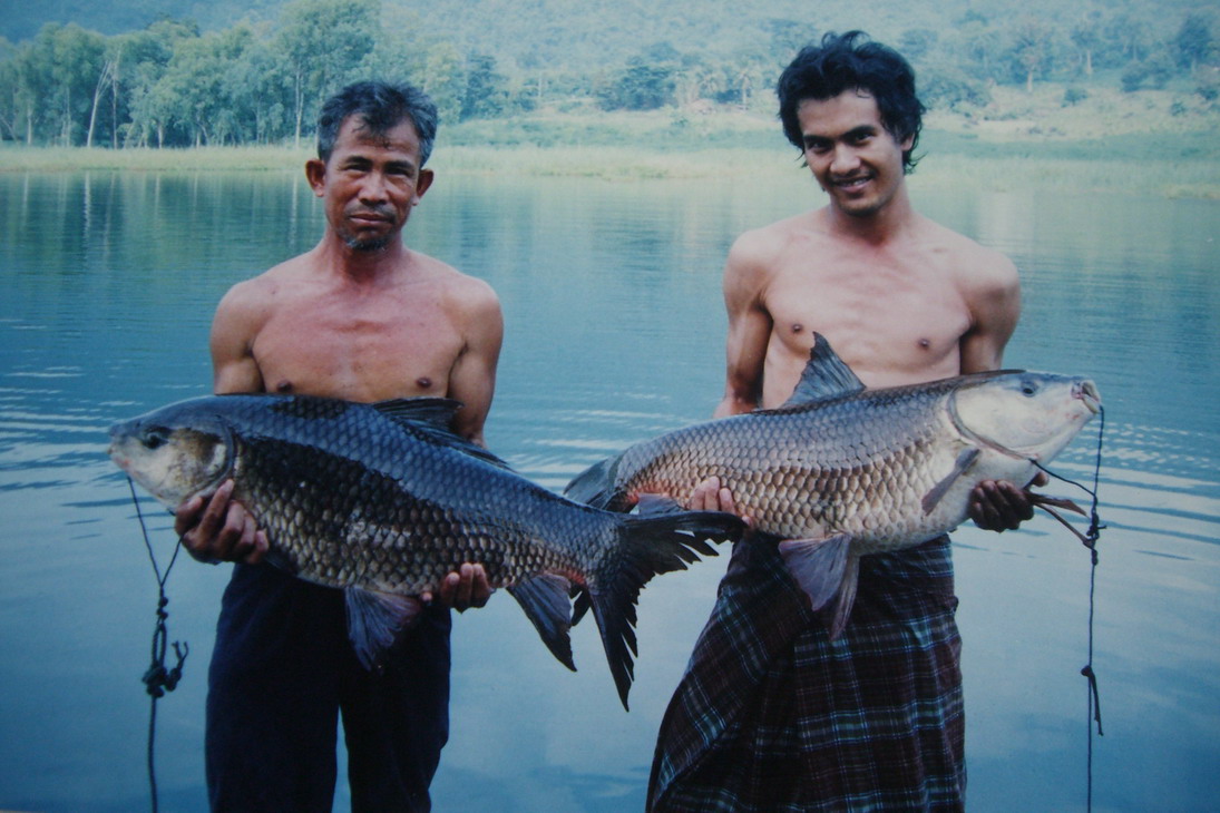 รวม"สุดยอด" ยี่สกยักษ์ ปี 51โดยทีมงานอดุลย์ปลาคว