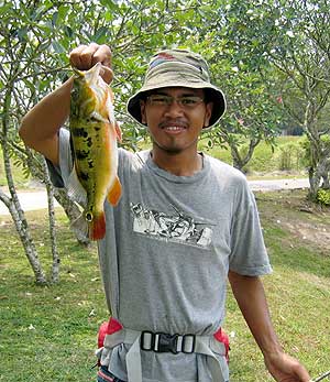Alien Fish Culling at Subang Jaya Lake by PeMM
