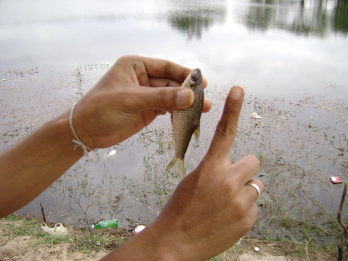 ดงชะโดโคราชครับ