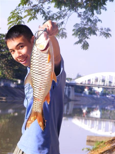 กระสูปลำปาง เริ่มเข้าแล้ววว